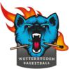 WETTERBYGDEN BASKETBALL Team Logo